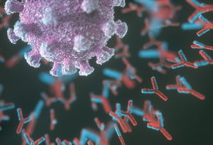 anticorpos agindo contra vírus mayaro