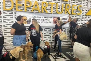 Grupo protesta em aeroporto onde cão Joca foi enviado em voo errado