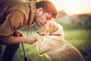 tutor beijando um cachorro caramelo