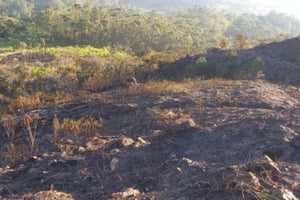 imagem colorida mostra área de vegetação queimada após incêndio no jaraguá - metrópoles