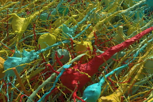 Ilustração em 3D mostra várias células coloridas - Metrópoles