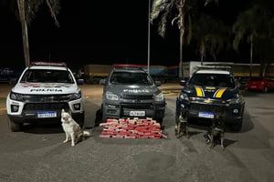 Imagem colorida mostra tijolos de maconha em frente a carros da Polícia Rodoviária Federal e um dos cães farejadores da PM - Metrópoles
