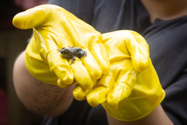 Famílias voltam para casa após enchentes no RS