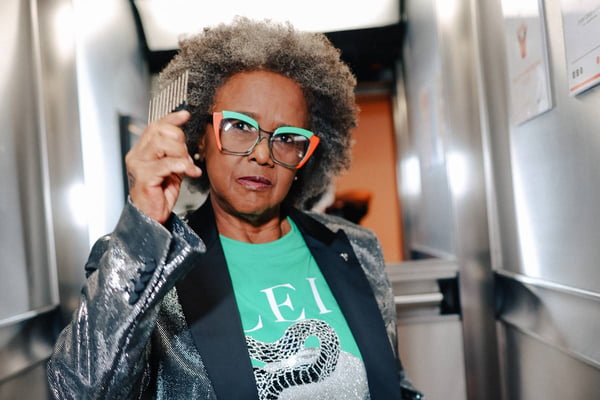 foto colorida de Sandra Sá em elevador - metrópoles