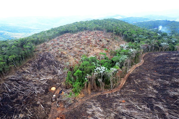 CGU aponta falhas no combate ao desmatamento na Amazônia