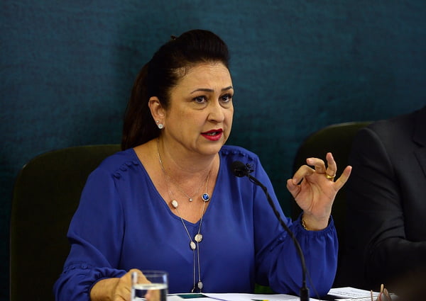Senadora Kátia Abreu (PMDB-TO), no Plenário do Senado