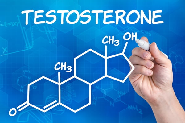 Saiba como aumentar a testosterona no corpo de maneira natural