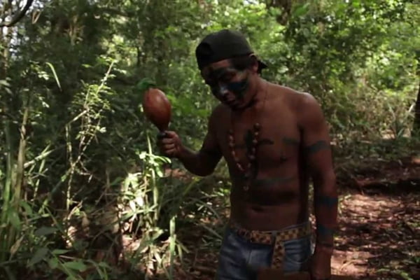 indígena guarani em floresta - Metrópoles