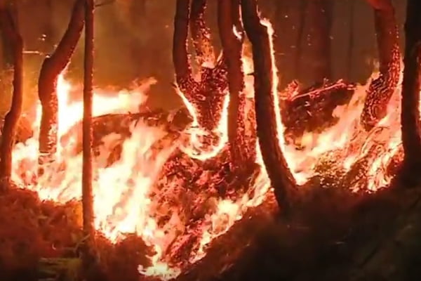 incêndio portugal