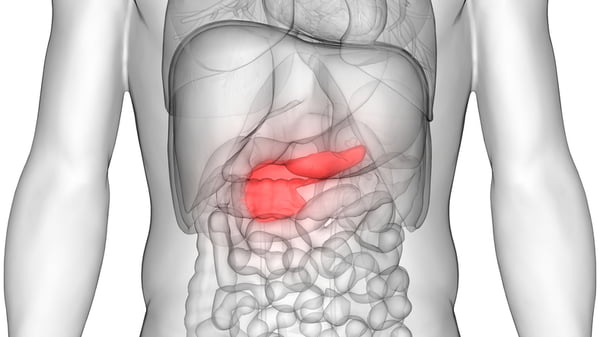 cancer sistema digestivo