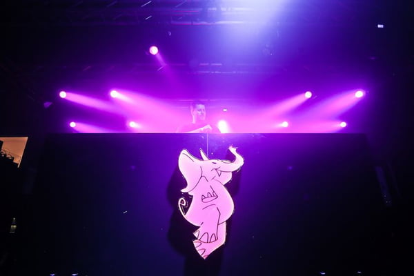 Pink Elephant reabre após Carnaval com balada eletrônica