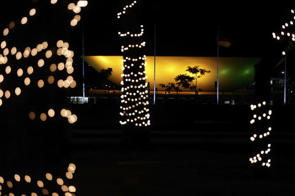 Luzes de Natal em árvores à noite