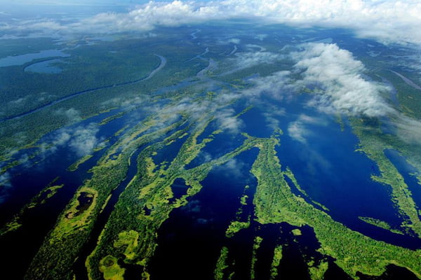 A Amazônia e as mídias sociais: Veja perfis que fazem a diferença