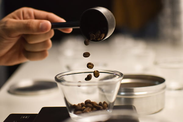 Na foto, grãos de café são derramados - Metrópoles