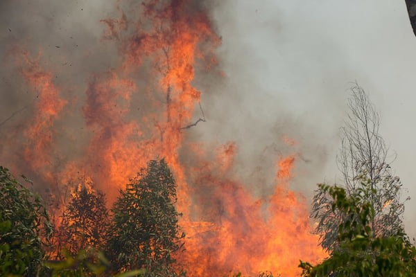 Bombeiros – combate aos incendios florestais