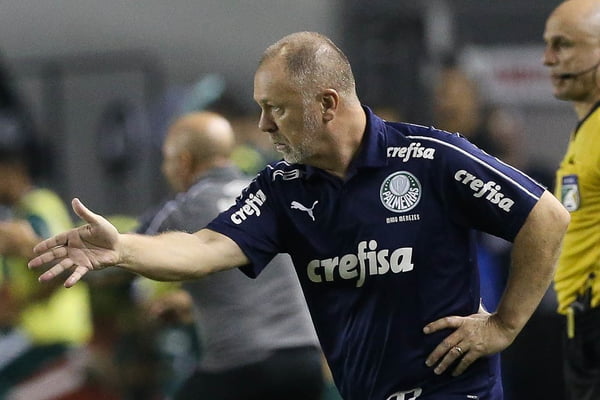 Mano-Menezes-Palmeiras1