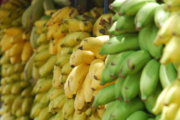 Biomassa de banana verde: o que é, benefícios e como preparar