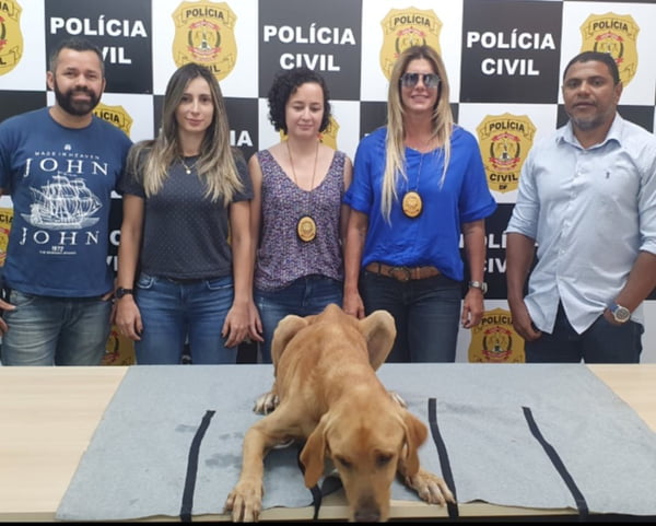 Policiais civis resgatam cão que era mantido sem comida em sem água pelo dono