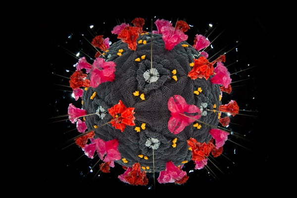 ilustração de um coronavírus