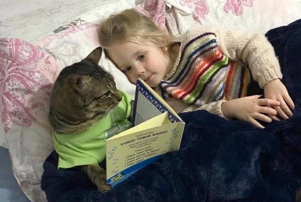 Criança dando aula para um gatinho