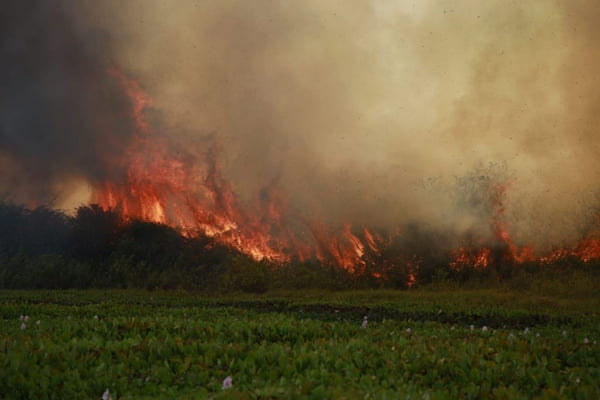 Incêndio Pantanal