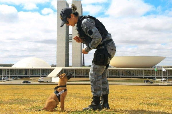 policial com cão