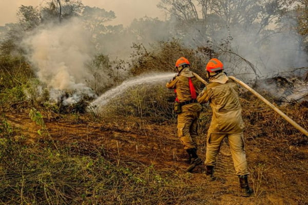 Operação conjunta tenta coibir uso ilegal do fogo em queimadas na Amazônia
