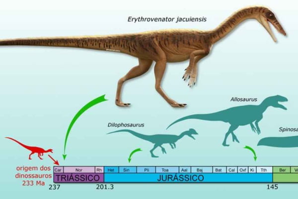Anunciada descoberta de nova espécie de antepassado do tiranossauro rex em Agudo