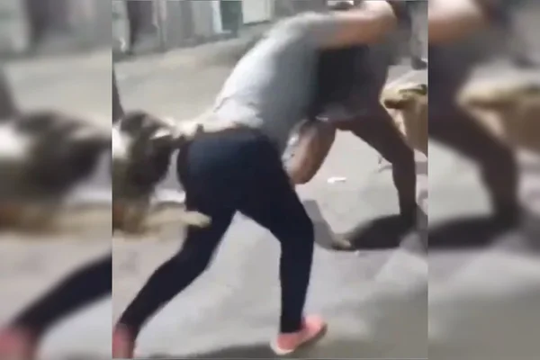 Cachorro entra em briga de mulheres e desfecho faz vídeo viralizar