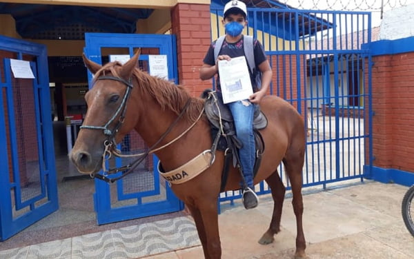 goias estudante vai a escola a cavalo para buscar atividades escolares