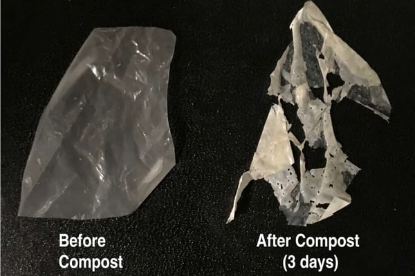 Cientistas criam plástico biodegradável que se decompõe facilmente