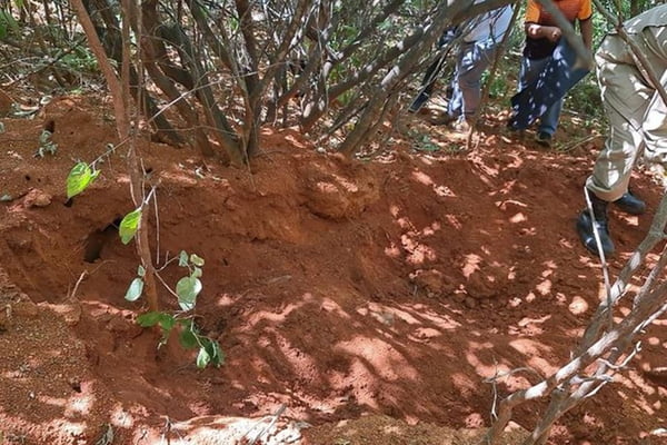 Corpo de mulher é encontrado enterrado em mata da Paraíba
