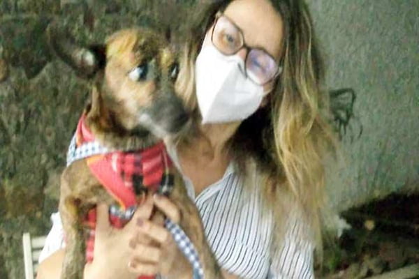 Vizinhos abrigam cão em abrigo após morte de dono em Niterói