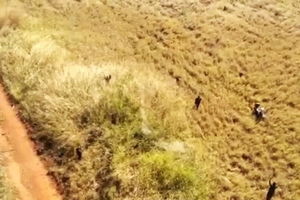 Imagem aérea de prisão de ladrão no Paranoá Parque