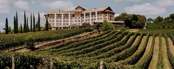 Hotel Spa do Vinho