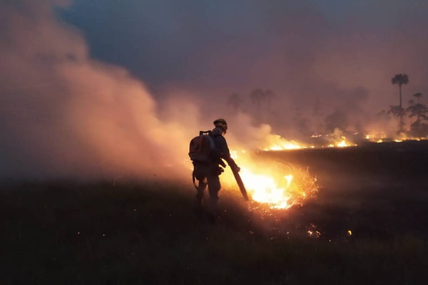 Imagem de incêndio florestal no parque terra ronca, em goiás - Metrópoles