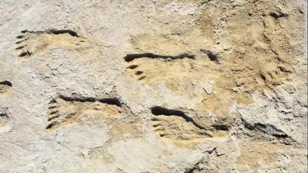 Pegadas encontradas nos EUA mudam a história dos primeiros humanos nas Américas
