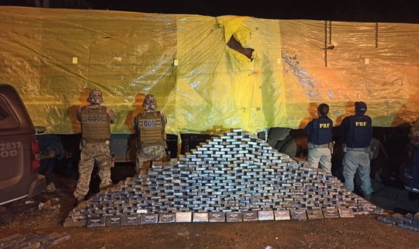 Polícia apreende cocaína escondida em carga de sementes de algodão em GO
