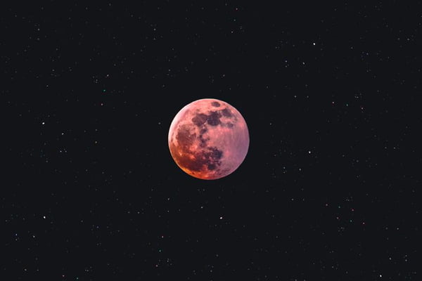 Na foto, uma lua rosa no céu azul escuro