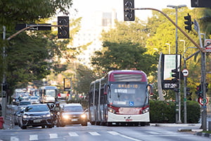 Imagem colorida mostra ônibus circulando na cidade de São Paulo em um dia ensolarado - Metrópoles