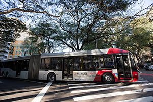 Ônibus São Paulo