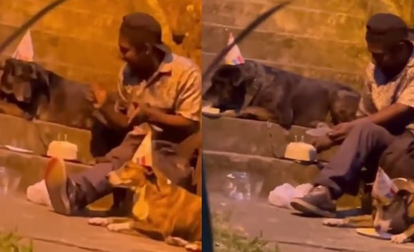 morador de rua canta parabéns com cachorros e come bolo na Colombia