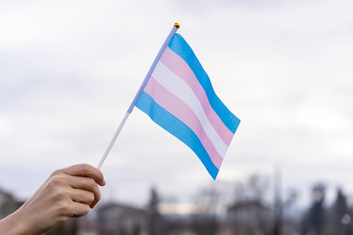 Pessoa branca segurando bandeira rosa, azul e branca, cores que representam a transexualidade