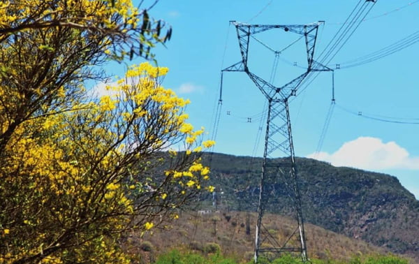 fotografia colorida de uma linha de energia elétrica