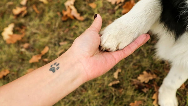 Mão com tatuagem de pata de cachorro segurando uma pata de um cachorro