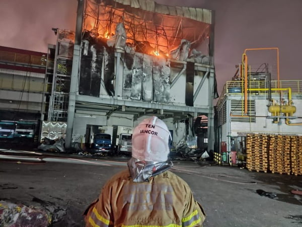Bombeiro olha para incêndio de grandes proporções em frigorífico na Grande Belo Horizonte - Metrópoles