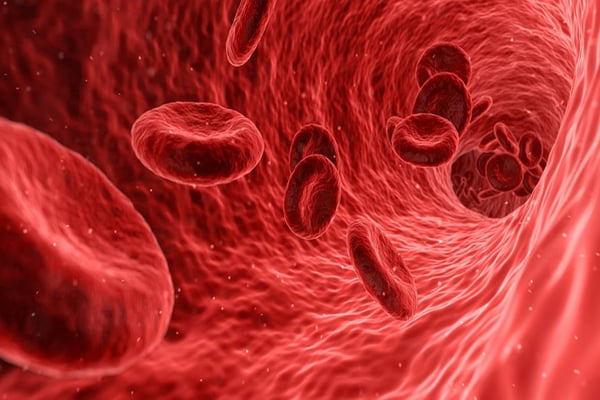 células vermelhas