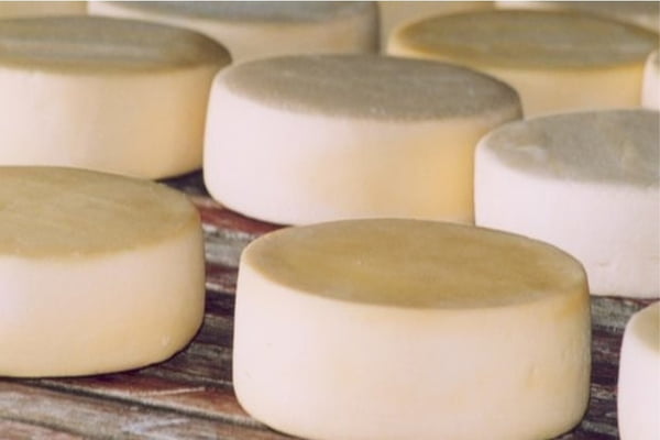 Na foto, vários queijos - Metrópoles