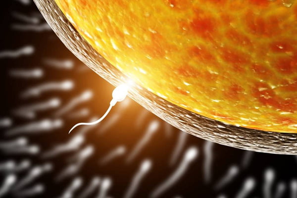 Foto de um espermatozóide entrando no óvulo