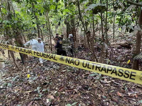 Imagem colorida mostra busca dos corpos de Dom Phillips e Bruno Pereira em terra indígena do Vale do Javari - Metrópoles